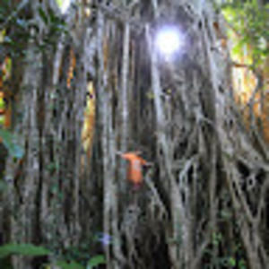 Meet your Posher, Jordi